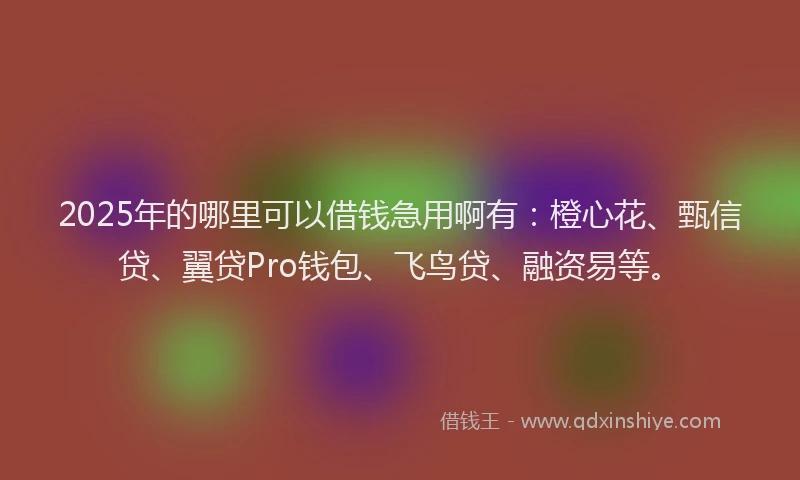 2025年的哪里可以借钱急用啊有：橙心花、甄信贷、翼贷Pro钱包、飞鸟贷、融资易等。