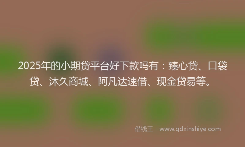 2025年的小期贷平台好下款吗有：臻心贷、口袋贷、沐久商城、阿凡达速借、现金贷易等。