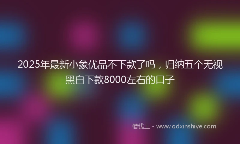 2025年最新小象优品不下款了吗，归纳五个无视黑白下款8000左右的口子
