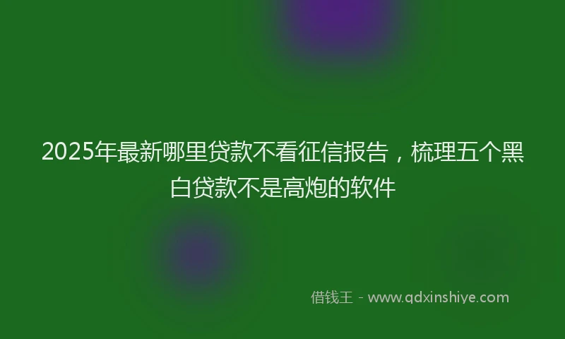 2025年最新哪里贷款不看征信报告，梳理五个黑白贷款不是高炮的软件