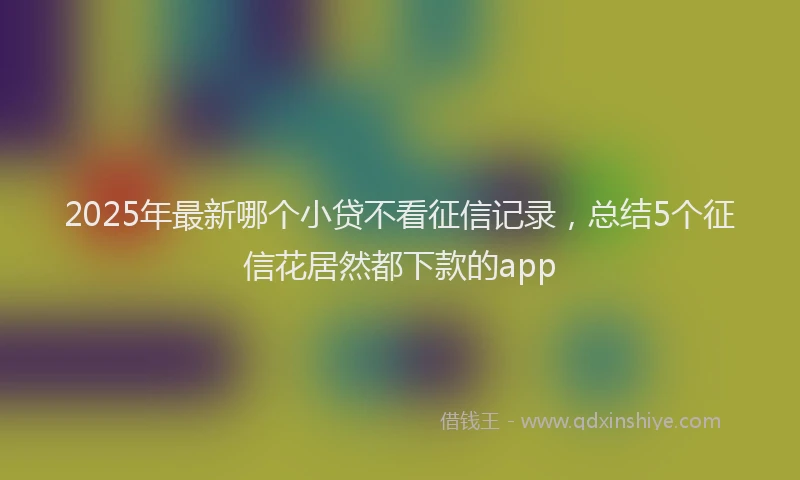 2025年最新哪个小贷不看征信记录，总结5个征信花居然都下款的app