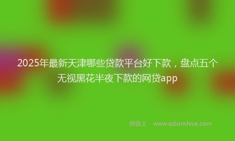 2025年最新天津哪些贷款平台好下款，盘点五个无视黑花半夜下款的网贷app