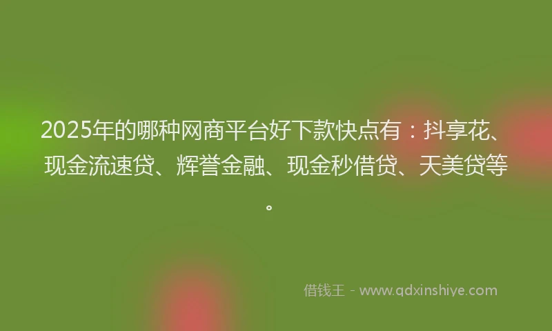 2025年的哪种网商平台好下款快点有：抖享花、现金流速贷、辉誉金融、现金秒借贷、天美贷等。