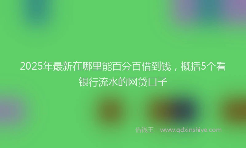 2025年最新在哪里能百分百借到钱，概括5个看银行流水的网贷口子
