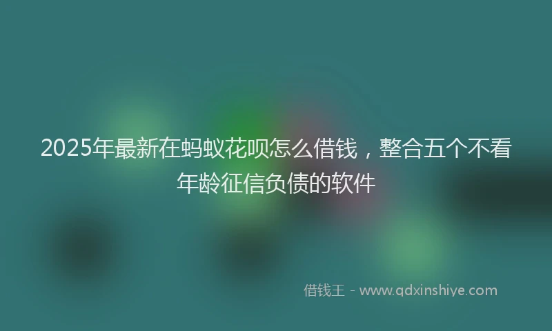 2025年最新在蚂蚁花呗怎么借钱，整合五个不看年龄征信负债的软件