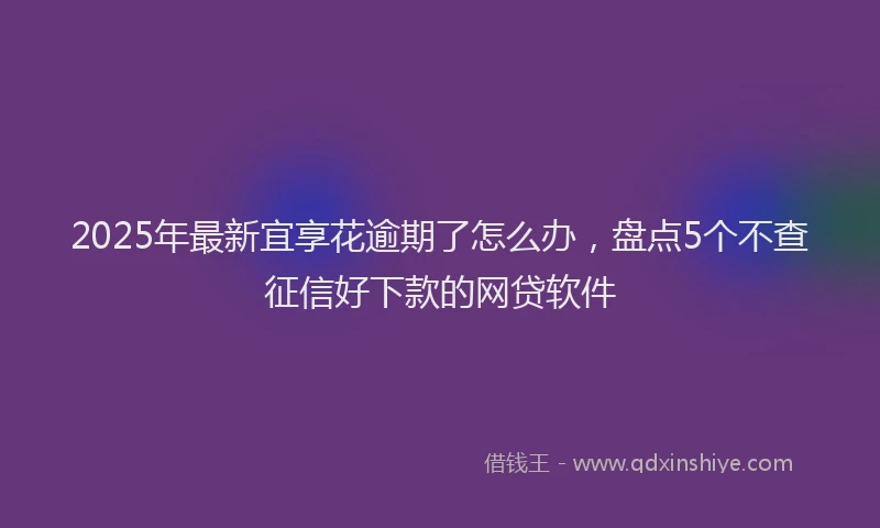 2025年最新宜享花逾期了怎么办，盘点5个不查征信好下款的网贷软件