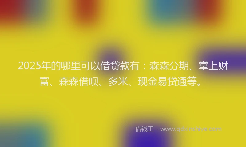 2025年的哪里可以借贷款有：森森分期、掌上财富、森森借呗、多米、现金易贷通等。