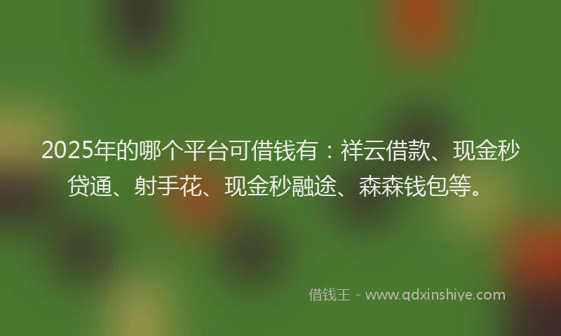 2025年的哪个平台可借钱有：祥云借款、现金秒贷通、射手花、现金秒融途、森森钱包等。