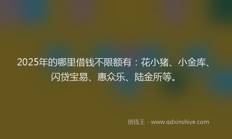 2025年的哪里借钱不限额有：花小猪、小金库、闪贷宝易、惠众乐、陆金所等。