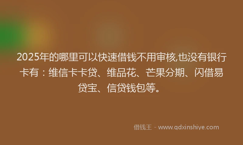 2025年的哪里可以快速借钱不用审核,也没有银行卡有：维信卡卡贷、维品花、芒果分期、闪借易贷宝、信贷钱包等。