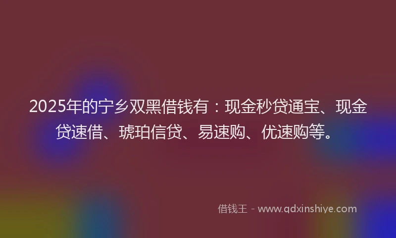 2025年的宁乡双黑借钱有：现金秒贷通宝、现金贷速借、琥珀信贷、易速购、优速购等。
