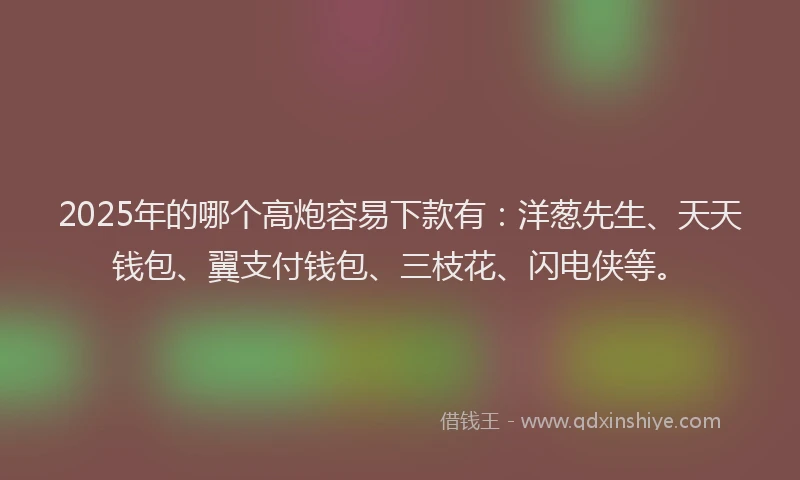 2025年的哪个高炮容易下款有：洋葱先生、天天钱包、翼支付钱包、三枝花、闪电侠等。