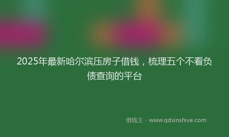 2025年最新哈尔滨压房子借钱，梳理五个不看负债查询的平台