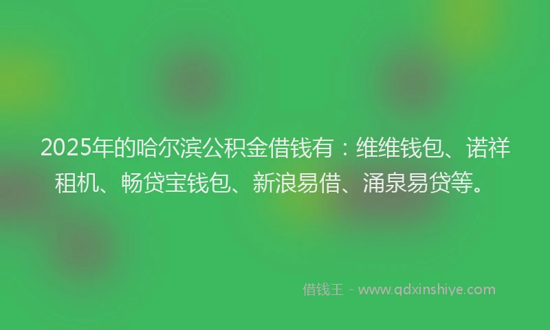 2025年的哈尔滨公积金借钱有：维维钱包、诺祥租机、畅贷宝钱包、新浪易借、涌泉易贷等。