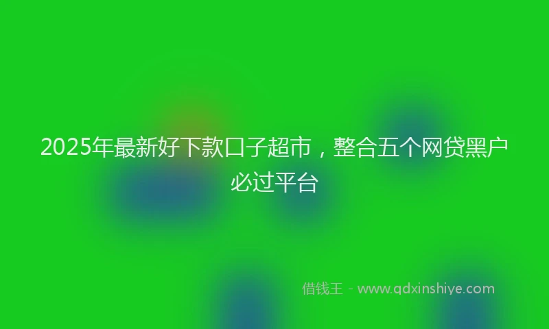 2025年最新好下款口子超市，整合五个网贷黑户必过平台