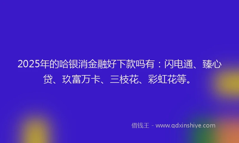 2025年的哈银消金融好下款吗有：闪电通、臻心贷、玖富万卡、三枝花、彩虹花等。