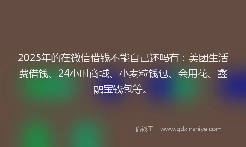 2025年的在微信借钱不能自己还吗有：美团生活费借钱、24小时商城、小麦粒钱包、会用花、鑫融宝钱包等。