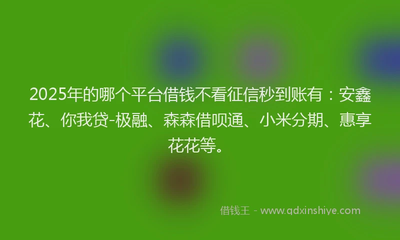 2025年的哪个平台借钱不看征信秒到账有：安鑫花、你我贷-极融、森森借呗通、小米分期、惠享花花等。