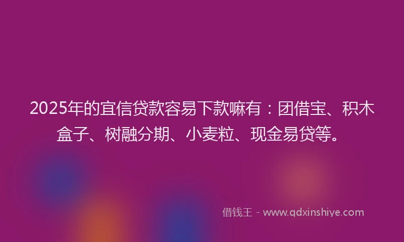 2025年的宜信贷款容易下款嘛有：团借宝、积木盒子、树融分期、小麦粒、现金易贷等。