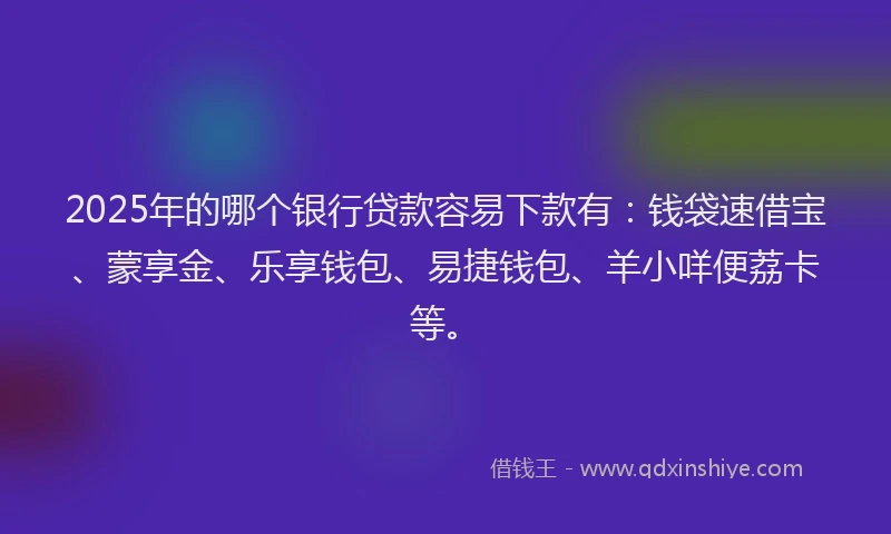 2025年的哪个银行贷款容易下款有：钱袋速借宝、蒙享金、乐享钱包、易捷钱包、羊小咩便荔卡等。