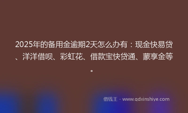 2025年的备用金逾期2天怎么办有：现金快易贷、洋洋借呗、彩虹花、借款宝快贷通、蒙享金等。