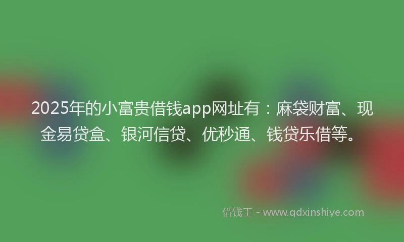 2025年的小富贵借钱app网址有：麻袋财富、现金易贷盒、银河信贷、优秒通、钱贷乐借等。