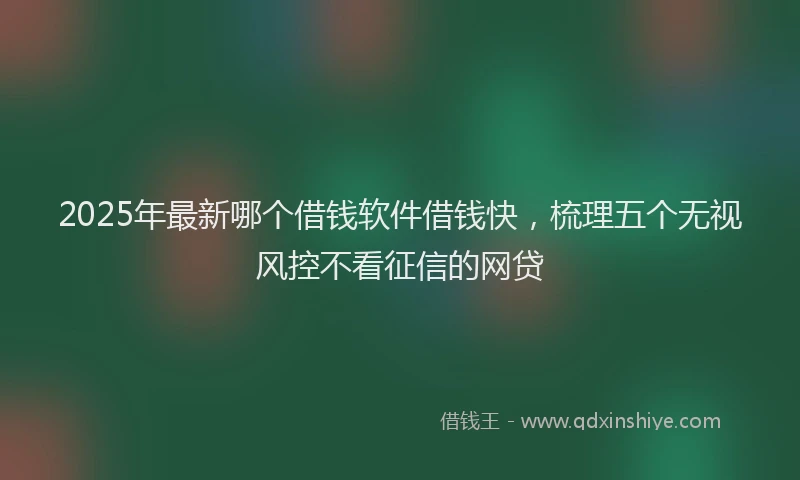 2025年最新哪个借钱软件借钱快，梳理五个无视风控不看征信的网贷