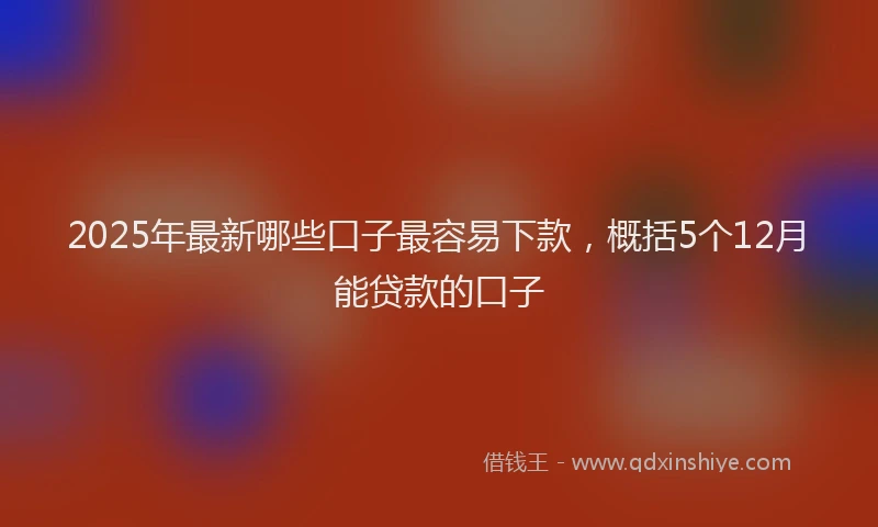 2025年最新哪些口子最容易下款，概括5个12月能贷款的口子