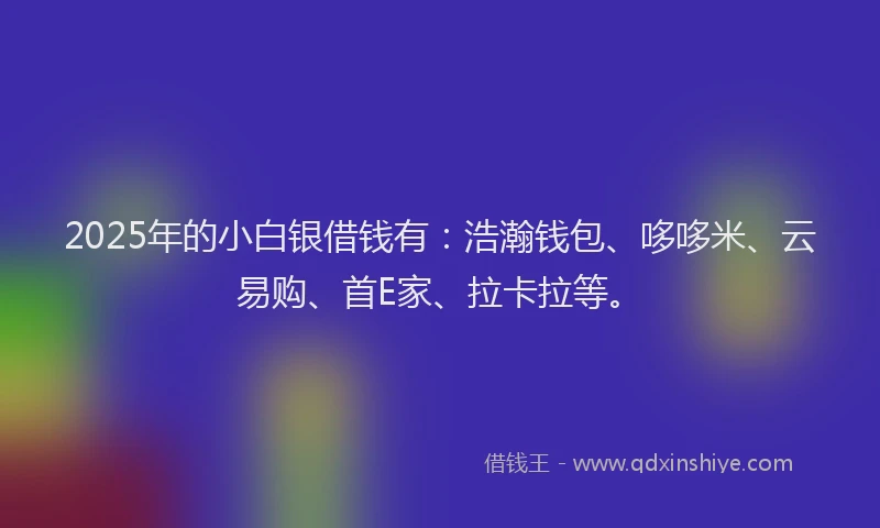 2025年的小白银借钱有：浩瀚钱包、哆哆米、云易购、首E家、拉卡拉等。