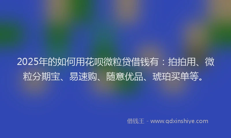 2025年的如何用花呗微粒贷借钱有：拍拍用、微粒分期宝、易速购、随意优品、琥珀买单等。