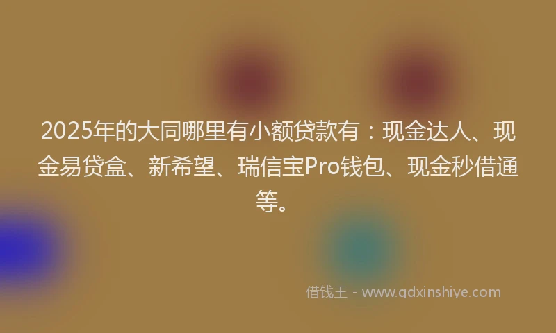 2025年的大同哪里有小额贷款有：现金达人、现金易贷盒、新希望、瑞信宝Pro钱包、现金秒借通等。