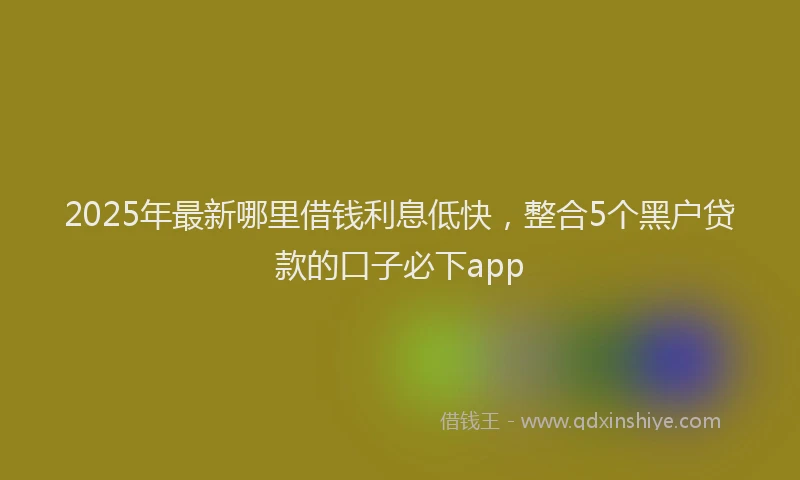 2025年最新哪里借钱利息低快，整合5个黑户贷款的口子必下app