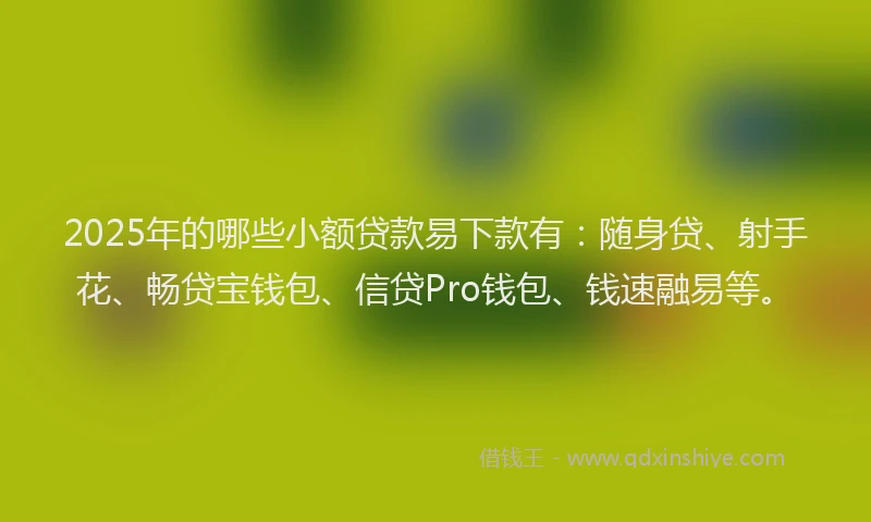 2025年的哪些小额贷款易下款有：随身贷、射手花、畅贷宝钱包、信贷Pro钱包、钱速融易等。
