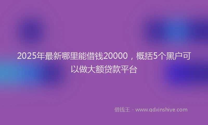 2025年最新哪里能借钱20000，概括5个黑户可以做大额贷款平台