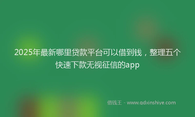 2025年最新哪里贷款平台可以借到钱，整理五个快速下款无视征信的app