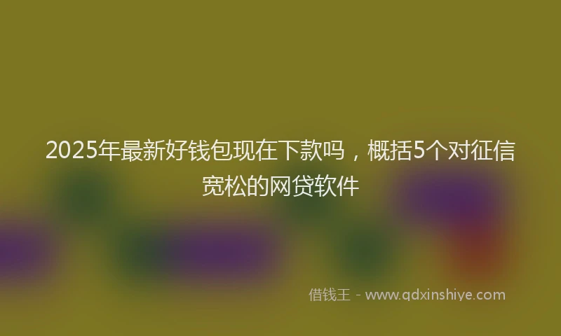 2025年最新好钱包现在下款吗，概括5个对征信宽松的网贷软件