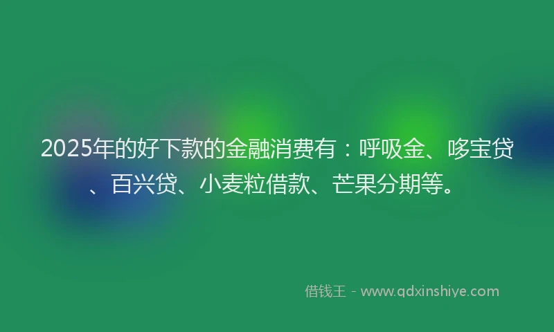 2025年的好下款的金融消费有：呼吸金、哆宝贷、百兴贷、小麦粒借款、芒果分期等。