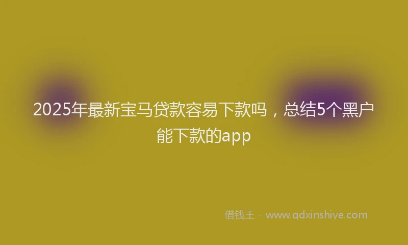 2025年最新宝马贷款容易下款吗，总结5个黑户能下款的app