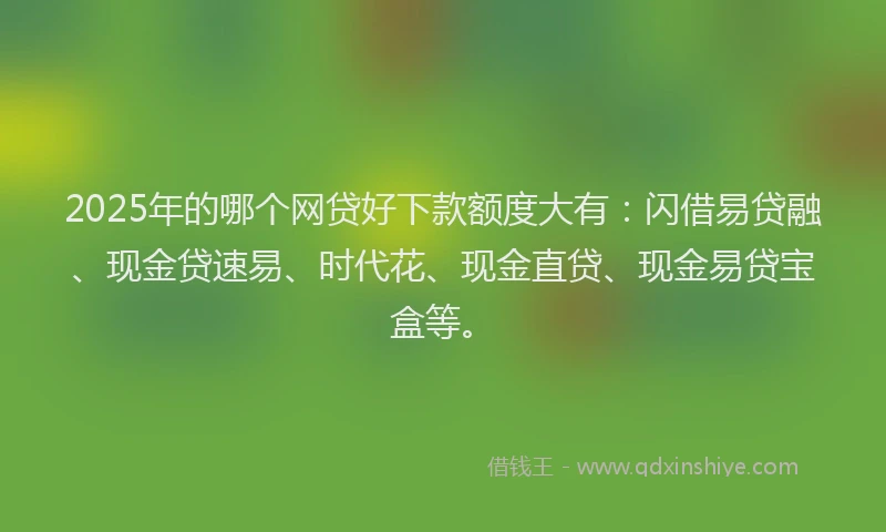 2025年的哪个网贷好下款额度大有：闪借易贷融、现金贷速易、时代花、现金直贷、现金易贷宝盒等。