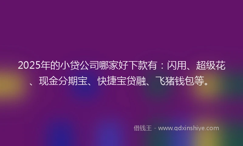 2025年的小贷公司哪家好下款有：闪用、超级花、现金分期宝、快捷宝贷融、飞猪钱包等。