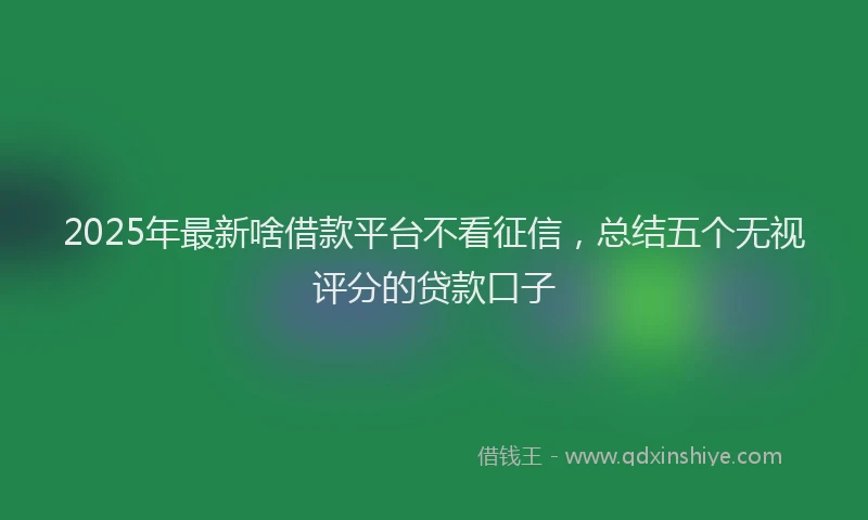 2025年最新啥借款平台不看征信，总结五个无视评分的贷款口子