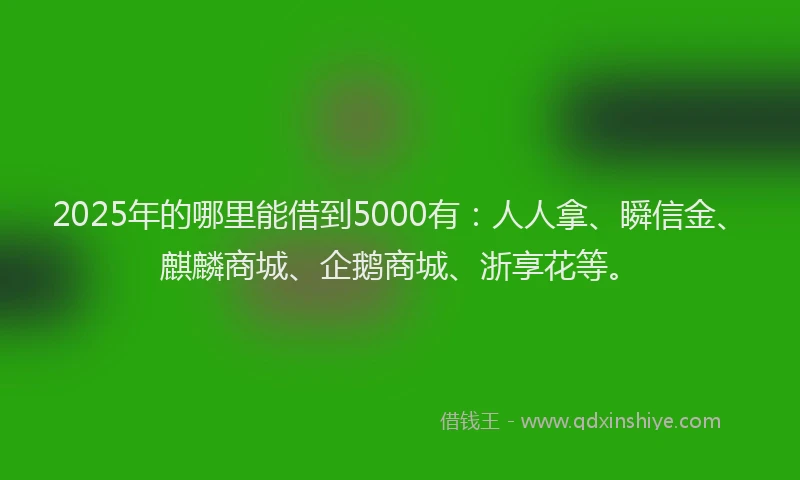 2025年的哪里能借到5000有：人人拿、瞬信金、麒麟商城、企鹅商城、浙享花等。