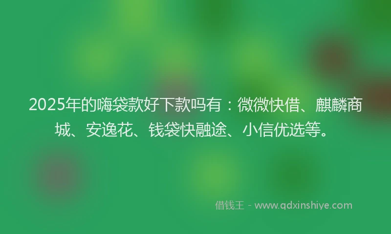 2025年的嗨袋款好下款吗有：微微快借、麒麟商城、安逸花、钱袋快融途、小信优选等。