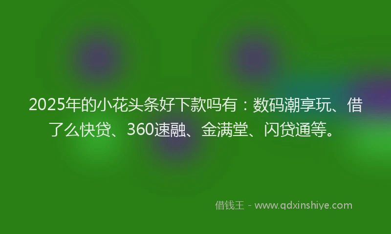 2025年的小花头条好下款吗有：数码潮享玩、借了么快贷、360速融、金满堂、闪贷通等。