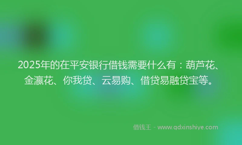 2025年的在平安银行借钱需要什么有：葫芦花、金瀛花、你我贷、云易购、借贷易融贷宝等。