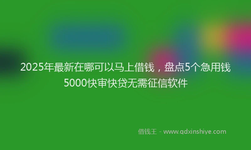 2025年最新在哪可以马上借钱，盘点5个急用钱5000快审快贷无需征信软件