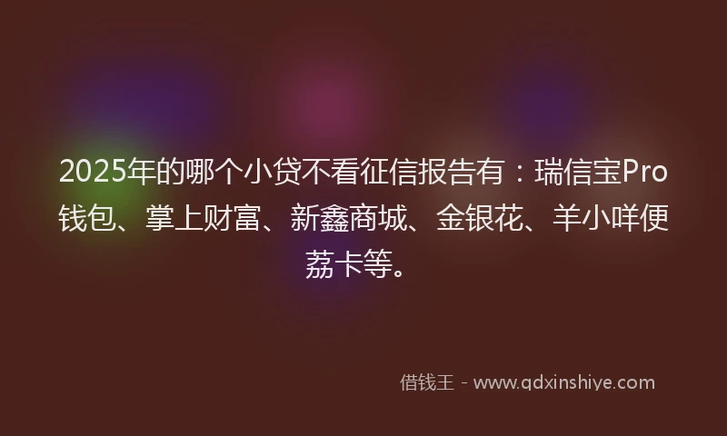 2025年的哪个小贷不看征信报告有：瑞信宝Pro钱包、掌上财富、新鑫商城、金银花、羊小咩便荔卡等。