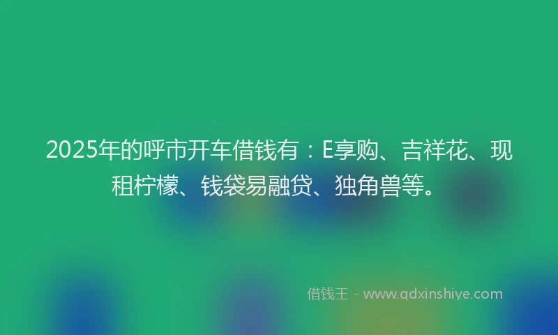 2025年的呼市开车借钱有：E享购、吉祥花、现租柠檬、钱袋易融贷、独角兽等。