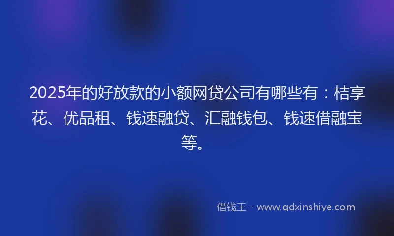 2025年的好放款的小额网贷公司有哪些有：桔享花、优品租、钱速融贷、汇融钱包、钱速借融宝等。