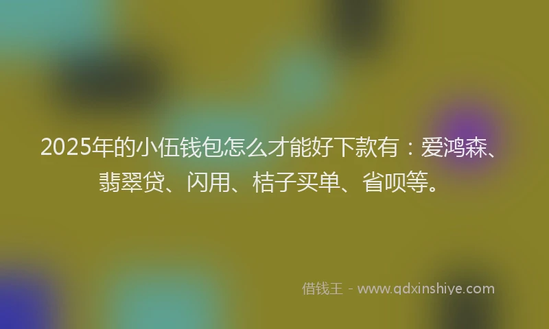 2025年的小伍钱包怎么才能好下款有：爱鸿森、翡翠贷、闪用、桔子买单、省呗等。